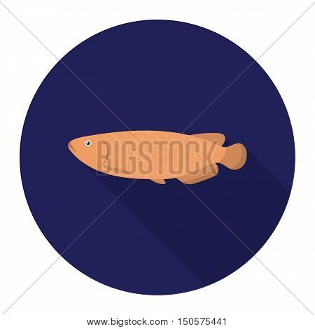 Scleropages fotmosus fish icon flat. Singe aquarium fish icon from the sea, ocean life flat.