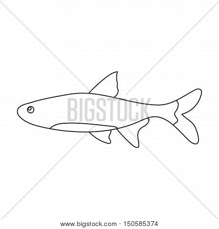 Neon fish icon line Singe aquarium fish icon from the sea