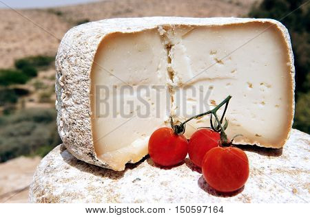 Food And Cuisine - Cheese