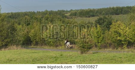 Fat Woman On White Horse Near Milada Lake