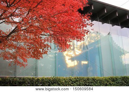 an inverted of window of Byodo-in Temple and garden in Kyoto Japan