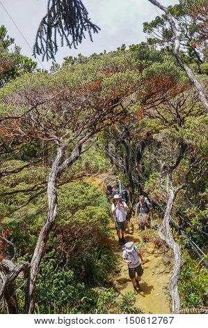 Ranau Sabah-March 12,2016:Climbers seen at Timpohon trail from Laban Rata of Mount Kinabalu.The best time to climb Mt Kinabalu is between March and August,which are the dry seasons of Sabah,Borneo.
