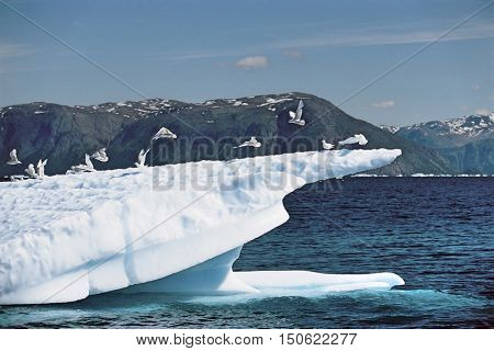 Ice Formation