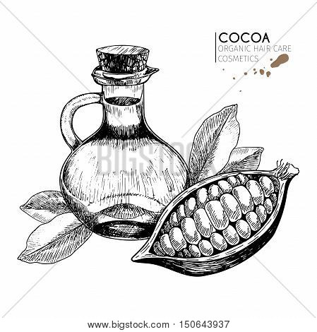 Vector set hair care ingredients. Organic hand drawn elements. Cocoa bean bottle of oil leaves. Use cosmetic package shop store products spa salon wellnes program procedure skin hair care