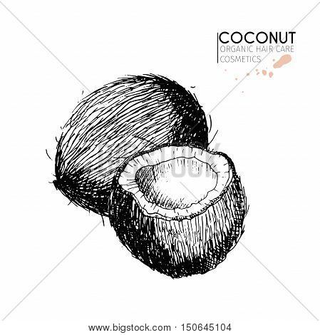 Vector set of hair care ingredients. Organic hand drawn elements. Coconuts. Use for cosmetic package shop store products spa salon wellnes program procedure skin hair care