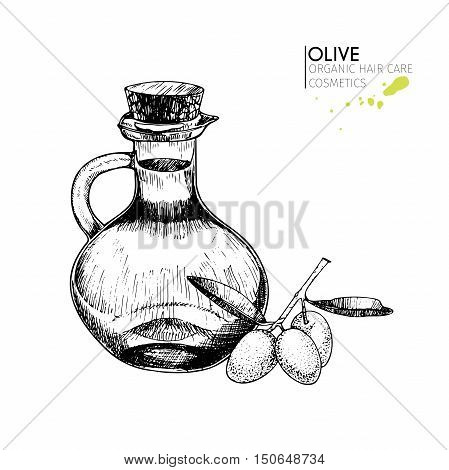 Olive branch bottle of oil. Use for cosmetic package shop store products spa salon wellnes program procedure skin hair care