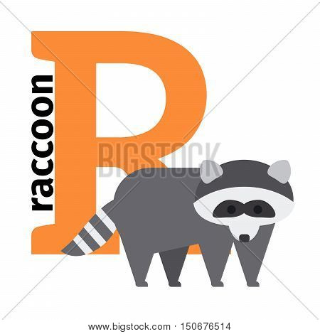 English animals zoo alphabet with letter R. Raccon vector illustration