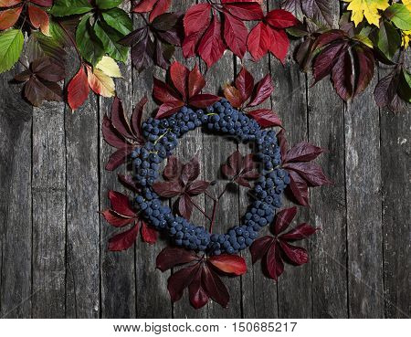 autumn leaves of wild grapes and berries on old wooden cracked background. Autumn background.