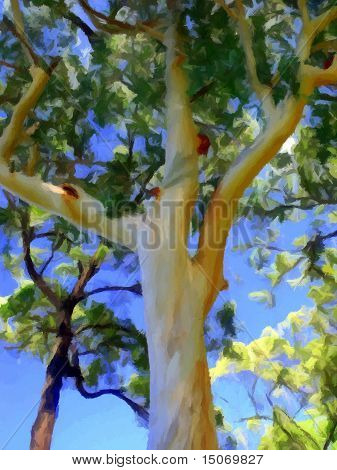 Foresta Red Gum