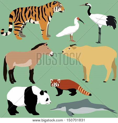 Vector set of cartoon animals of China.