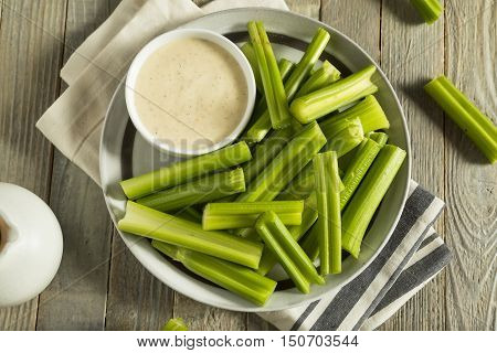 Raw Organic Green Celery Stalks