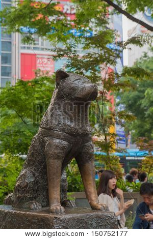 TOKYO  , JAPAN - MAY 1 , 2016 : Hachiko dog statue at Shibuya station.
 travel shibuya shopping centers, Tokyo, Japan. MAY 1 2016.