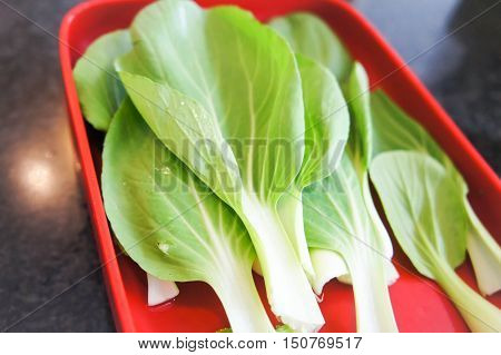 fresh Brassica chinensis vegetable in the dish