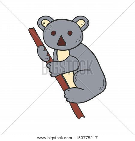 Vector Cartoon Hand Drawn Koala