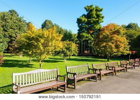 Public Roath Park with it's row of benches and beautiful trees during a sunny morning at the beginning of autumn.