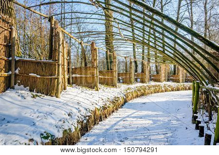 Beginning of the trapping pipe of a restored historical Dutch duck decoy covered with a layer of snow. It's a sunny day in the end of the winter season. The original decoy was built in the year 1693.