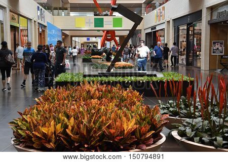 DALLAS, TX - SEP 17: NorthPark Center in Dallas, Texas, as seen on Sep 17, 2016. The center has over 235 stores and is the first shopping center featured on Vogue Magazine.