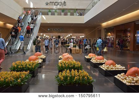 DALLAS, TX - SEP 17: Halloween decor at NorthPark Center in Dallas, Texas, as seen on Sep 17, 2016. The center has over 235 stores and is the first shopping center featured on Vogue Magazine.