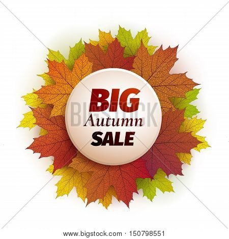 Fall sale design. Autumn discount. Vector fall leaves. Vector fall sale poster illustration. Can be used in business for flyers, banners or posters.