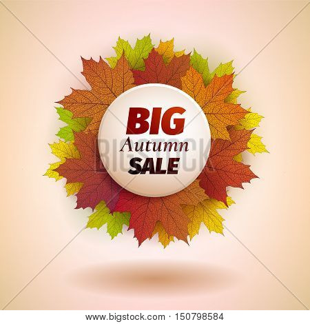 Fall sale design. Autumn discount. Vector fall leaves. Vector fall sale poster illustration. Can be used in business for flyers, banners or posters.