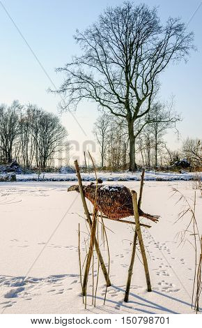 Ducks breeding basket of braided osiers on wooden poles in the snow-covered ice in the foreground of a natural pond on a sunny day in the winter season.