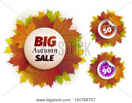 Fall sale design. Autumn discount. Vector fall leaves. Vector fall sale poster illustration. Can be used in business for flyers, banners or posters.