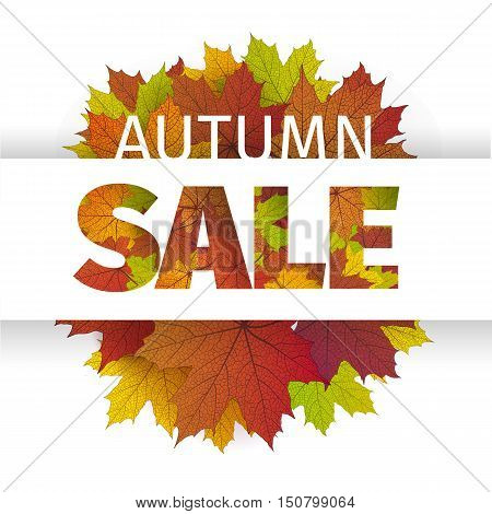 Fall sale design. Autumn discount. Vector fall leaves. Vector fall sale poster illustration. Can be used in business for flyers, banners or posters.