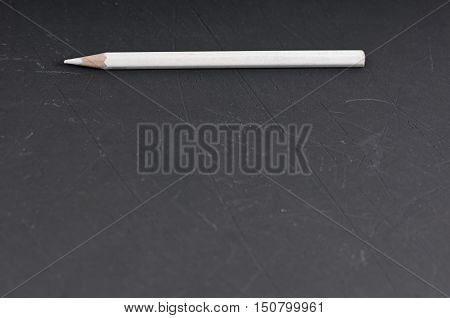 white pencil in shell on blackboard with copy space