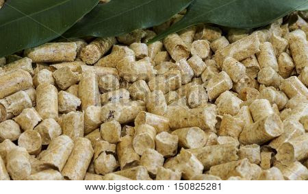 Wood pellets . Biofuels. The cat litter. Bio fuels