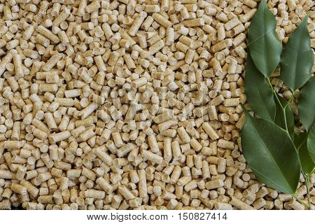 Wood pellets on a green background. Biofuels. Alternative biofuel from wood chips . The cat litter.