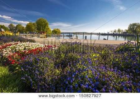 Flowers along embarkment in the Kreuzlingen city center near Konstanz city with the lake Constance and boats in the background Switzerland.