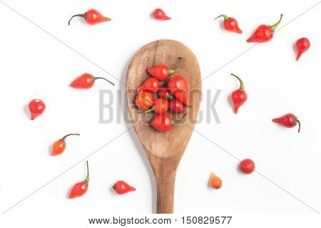 Biquinho Pepper into a spoon. Capsicum Chinense isolated in white background
