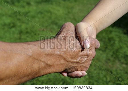 Handshake farmers on a background of green grass . Male and female hands, handshake. The meeting of two people on fresh air outside the city.