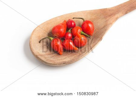 Biquinho Pepper into a spoon. Capsicum Chinense isolated in white background