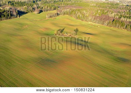 field and forest autumn photographed from helicopter