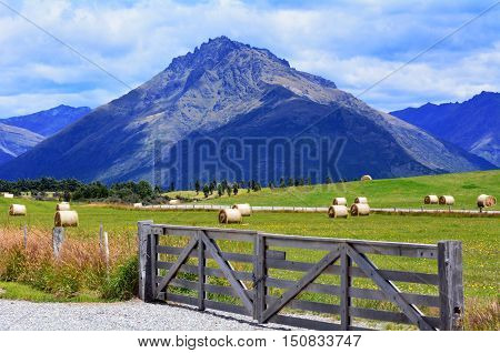 Otago - New Zealand