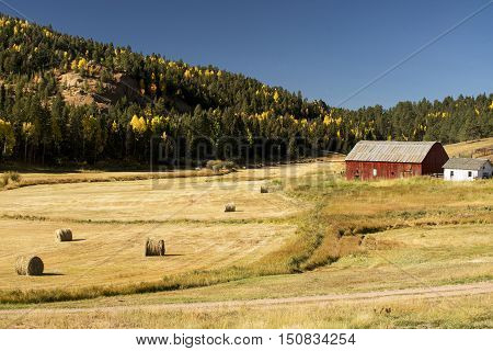 Autumn at a Colorado Ranch near Colorado Springs Colorado