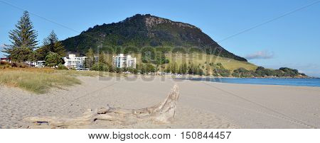 Mount Maunganui - New Zealand