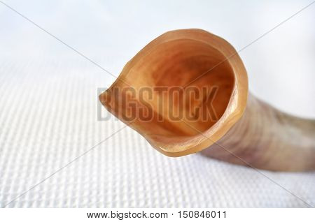 Close Up Of Shofar