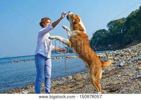 Beautiful woman with her dog near sea summer day