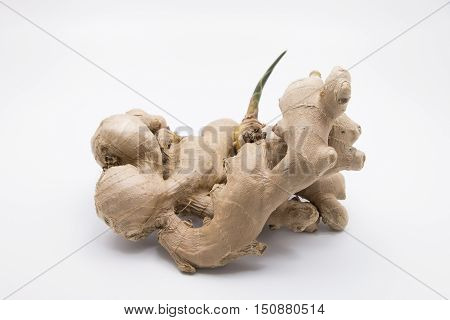 Ginger Root with Green Sprouts on White Background