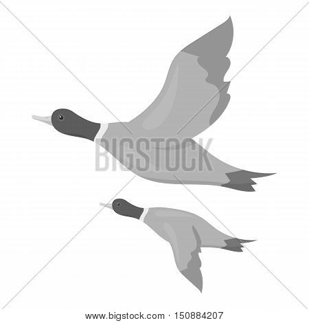 Ducks icon in monochrome style isolated on white background. Hunting symbol vector illustration.