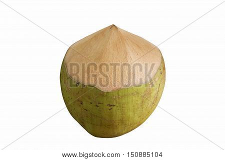 Nature Green Coconut Isolated on White Background