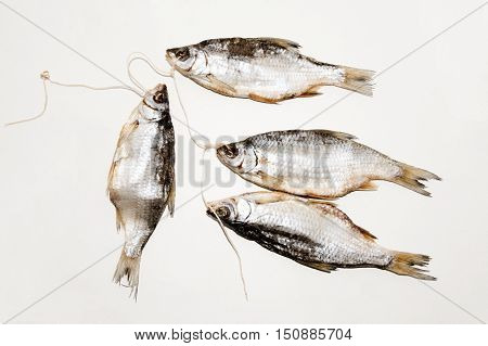 Dried fish on the table. Salty dry river fish on a white background. Dead dry salty fish - snack to beer. Isolated on white. .
