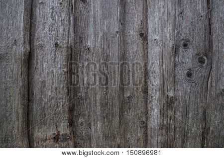 old dry nailed plank wall with wooden pattern