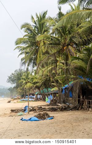 Agonda, India