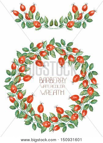 A circle frame, wreath and garland of the rosehip branches, hand-drawn in a watercolor on a white background, a decoration postcard or invitation for a wedding, celebration, holiday