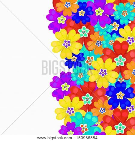 Card Spring Primroses Primula Flowers. Vector Illustration