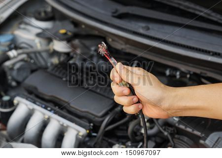 Electricity wire in the car damaged by rat bite