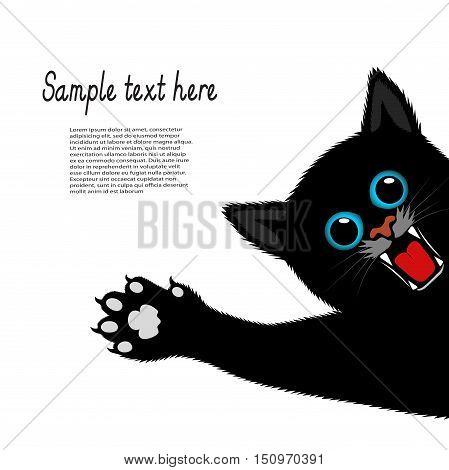 On the image presented playful kitten on a white background